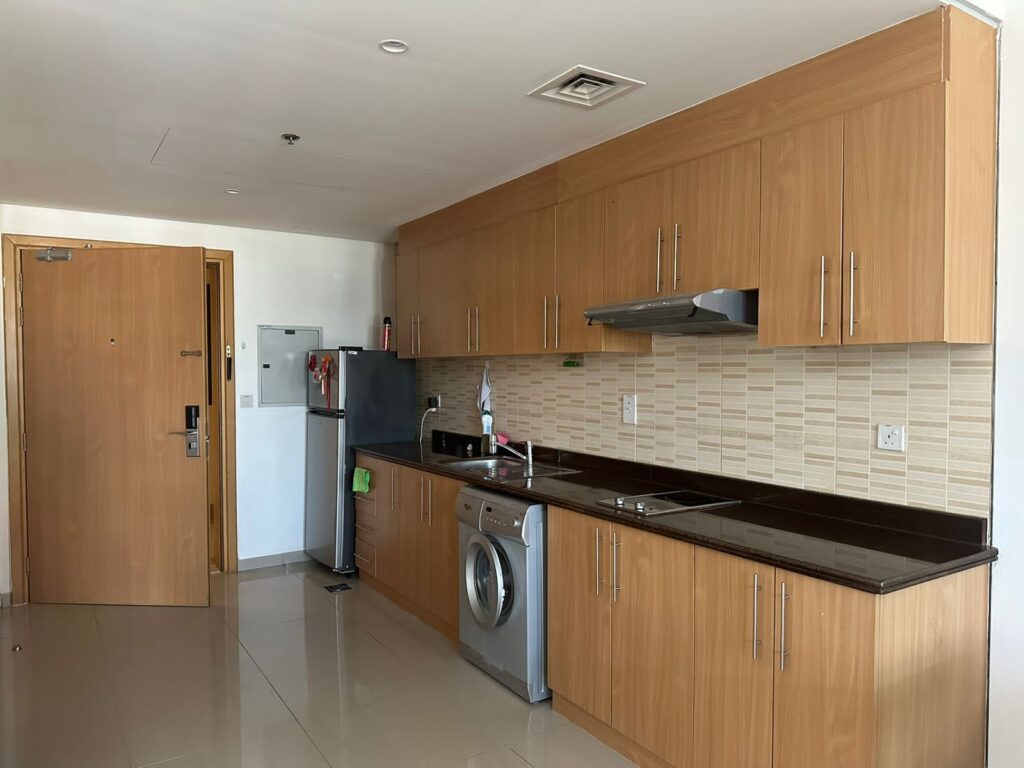 Lincoln Park Arjan Studio Apartment