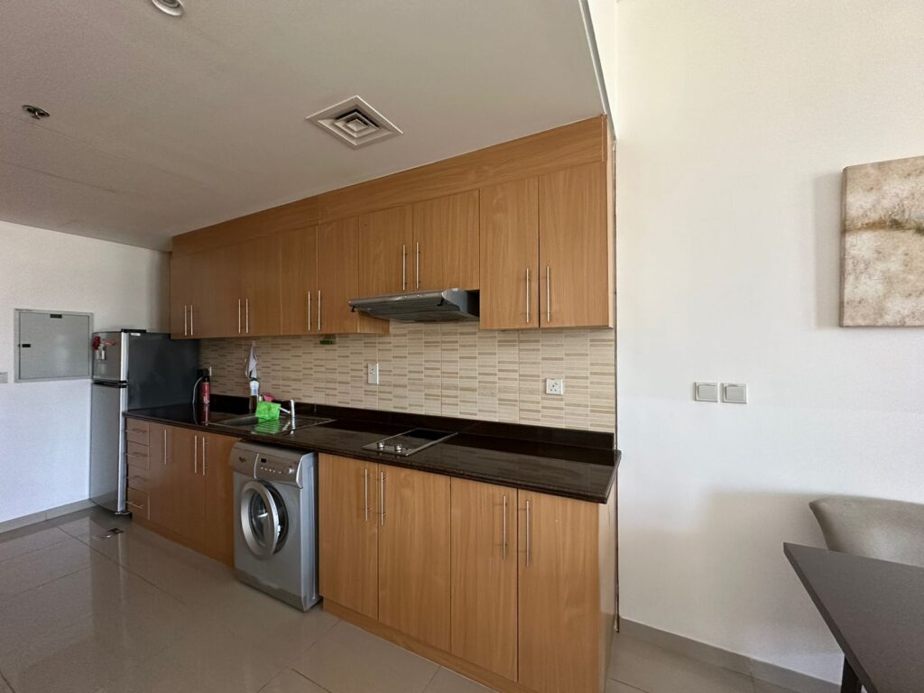 Lincoln Park Arjan Studio Apartment